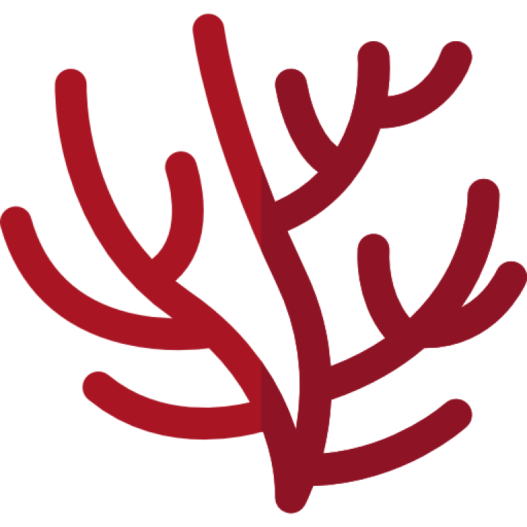 Corail (3×3)