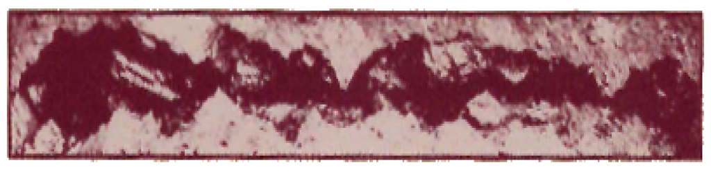Tile (4×1)