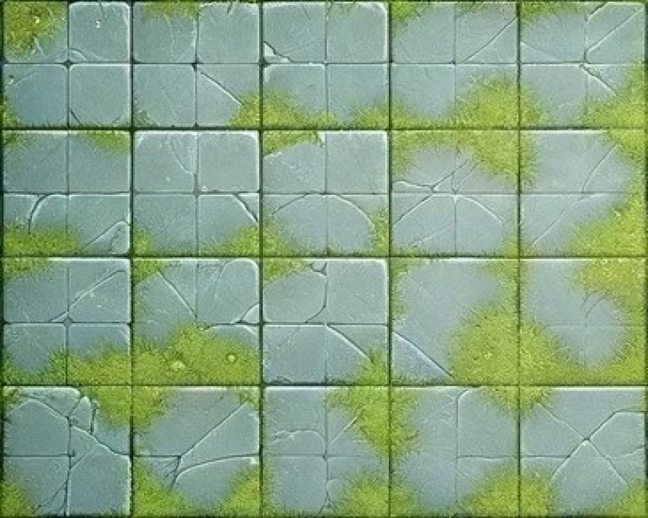 Mossy Room (5×4)