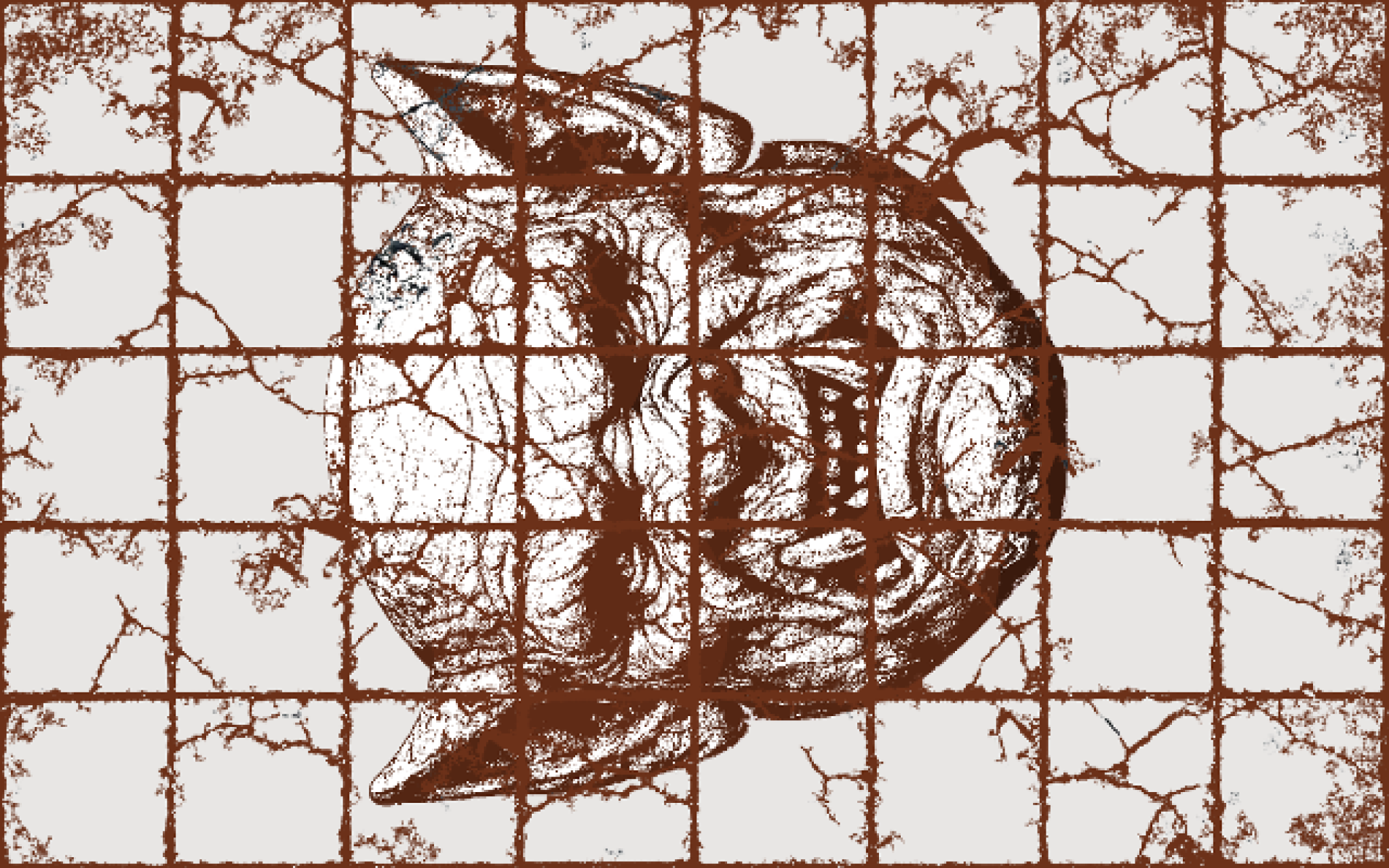 Tile (8×5)