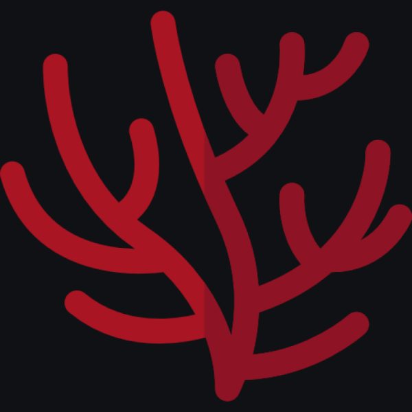 Corail (3×3)